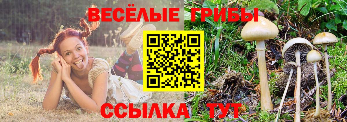 Псилоцибиновые грибы прущие грибы  Вход с VPN  что такое   Саяногорск 