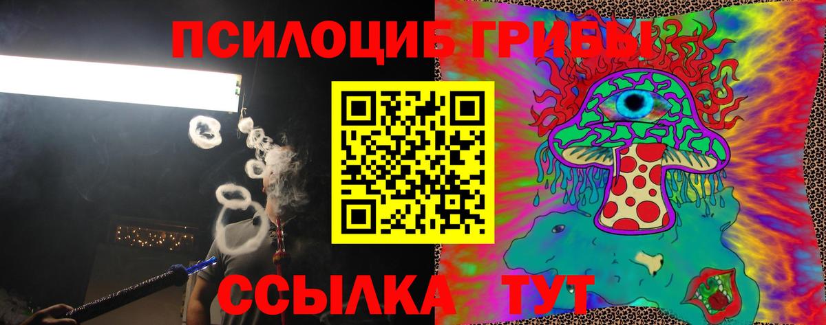 Псилоцибиновые грибы Magic Shrooms Саяногорск